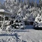 Appartement Zolota Pidkova & Forest