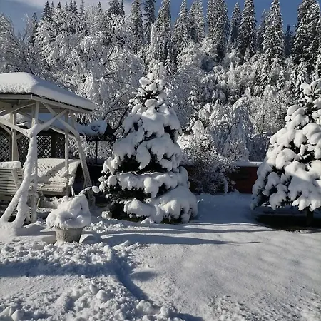 Apartment Zolota Pidkova & Forest