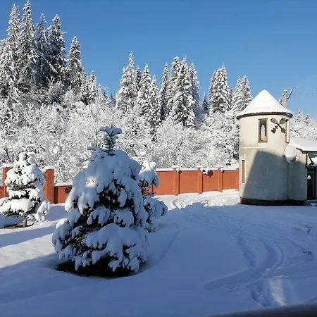Zolota Pidkova & Forest Appartement