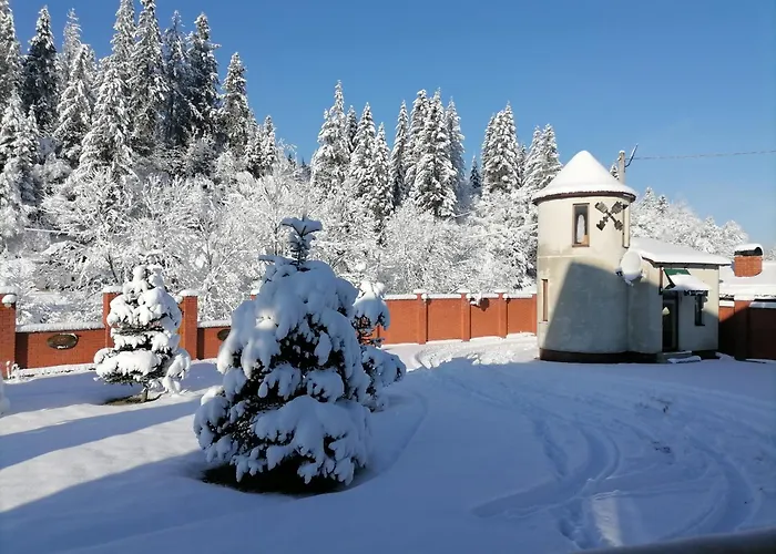 Zolota Pidkova & Forest Appartement